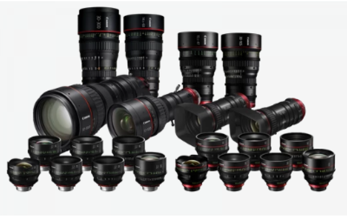 Understanding Camera Lenses: Prime vs Zoom Lens