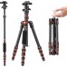 Carbon Fiber 5-Section Tripod Load Capacity 8kg A225C0+BH-25L