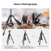 Lightweight Travel Outdoor DSLR Tripods Load Capacity 8kg