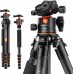 Carbon Fiber 5-Section Tripod Load Capacity 15kg A255C2+BH-36L