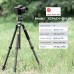 Carbon Fiber 4-Section Tripod Load Capacity 16kg X284C4+BH-36L
