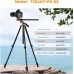 90 inch Overhead Camera Tripod Load Capacity 10kg T254A7+FH-03