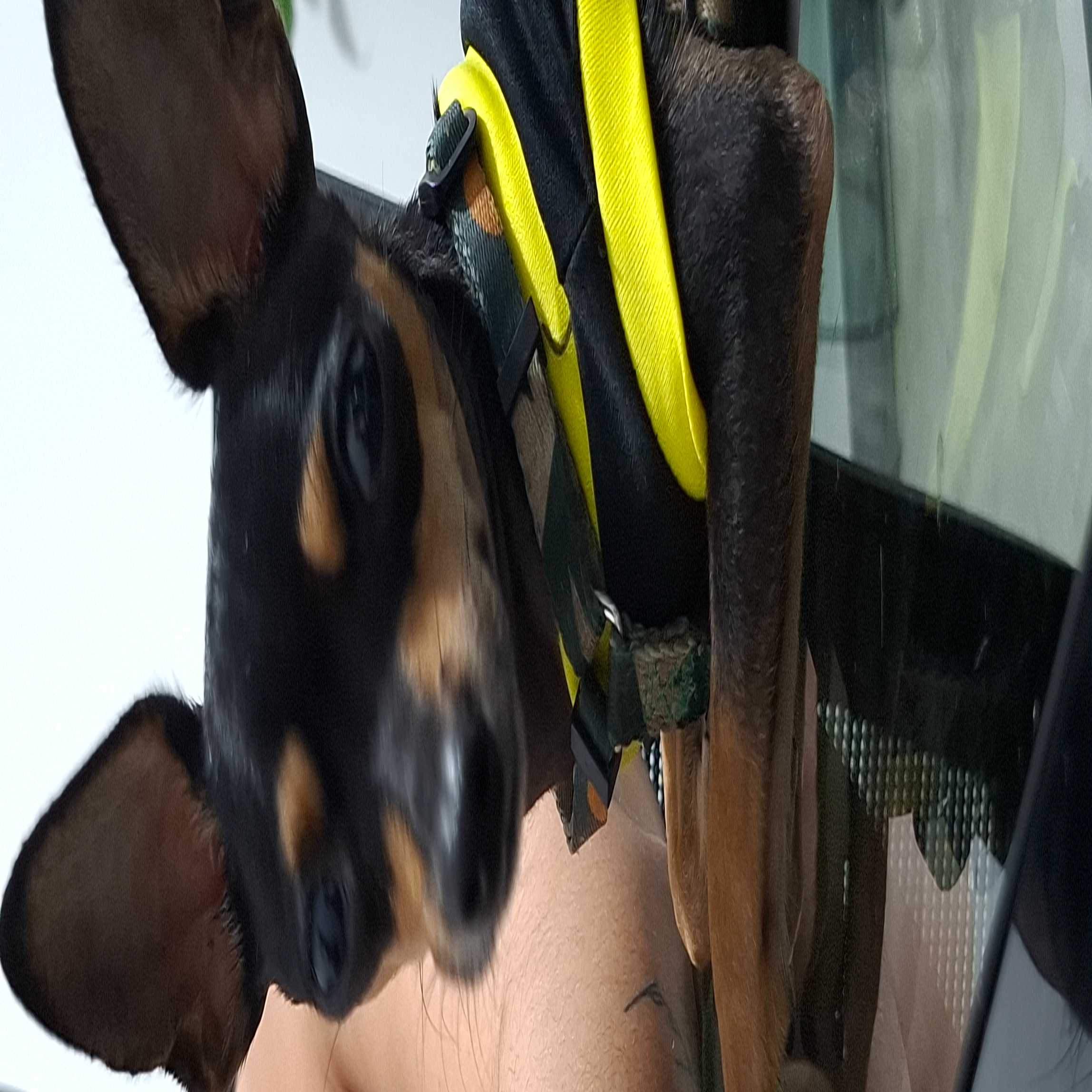 userheaderphoto